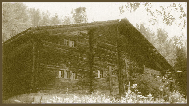 Illustration : tsaravé